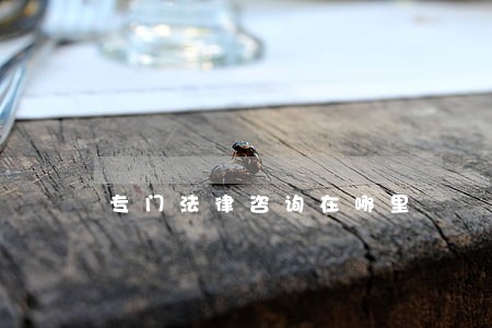 专门法律咨询在哪里