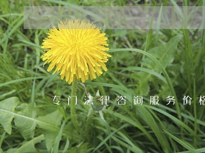 专门法律咨询服务价格 专门法律咨询服务价格