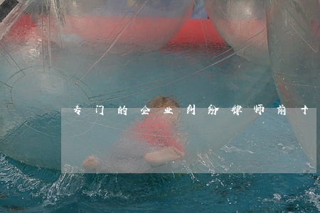 专门的企业纠纷律师前十