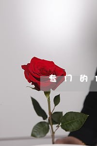 专门的保险律师代理费 专门的保险律师代理费