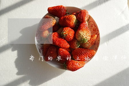 专门的农村土地赔偿律师顾问