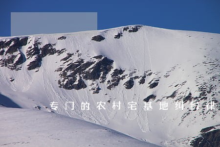 专门的农村宅基地纠纷律师团队 专门的农村宅基地纠纷律师团队