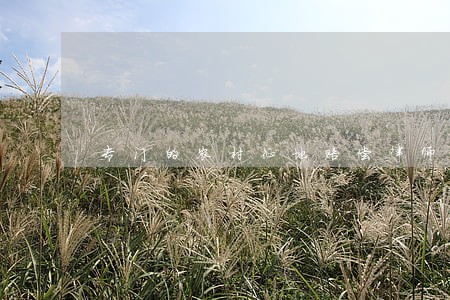 专门的农村征地赔偿律师咨询热线 专门的农村征地赔偿律师咨询热线