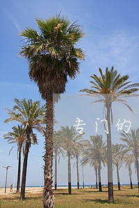 专门的劳动纠纷律师团队 专门的劳动纠纷律师团队