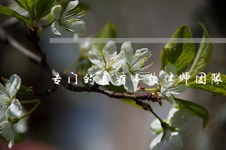 专门的医疗事故律师团队 专门的医疗事故律师团队