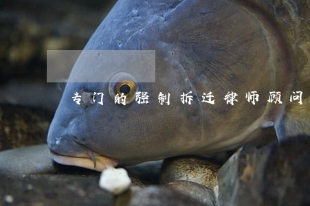 专门的强制拆迁律师顾问 专门的强制拆迁律师顾问