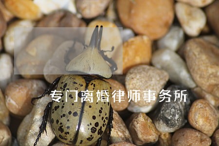 专门离婚律师事务所 专门离婚律师事务所