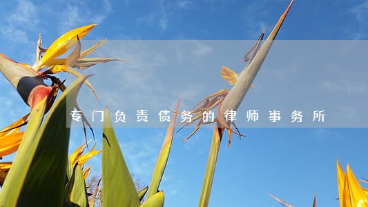 专门负责债务的律师事务所
