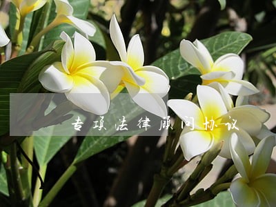 专项法律顾问协议 专项法律顾问协议