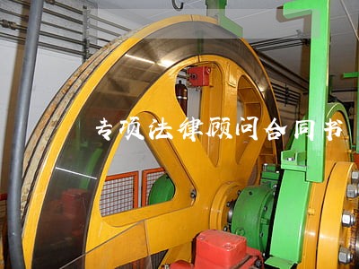 专项法律顾问合同书