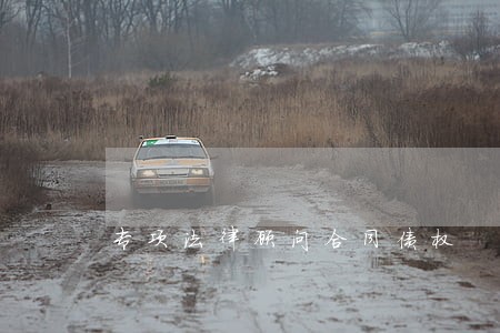专项法律顾问合同债权 专项法律顾问合同债权