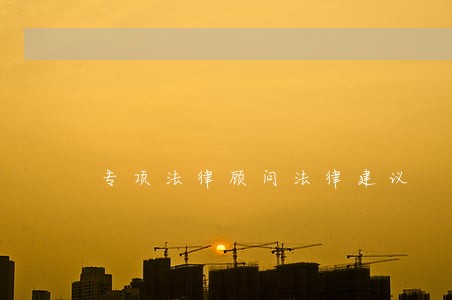 专项法律顾问法律建议 专项法律顾问法律建议