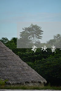 专项资金对抗法院扣划