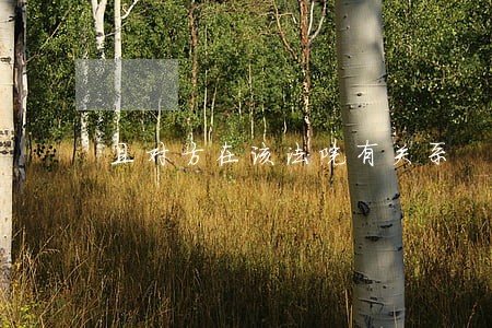 且对方在该法院有关系 且对方在该法院有关系