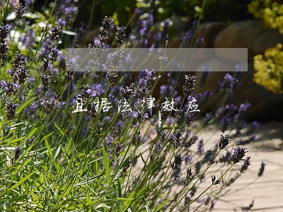 且据法律效应 且据法律效应