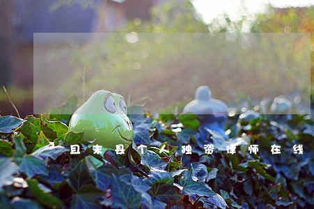 且末县个人独资律师在线免费咨询 且末县个人独资律师在线免费咨询