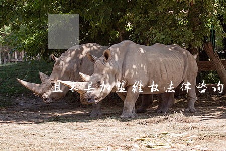 且末县加盟维权法律咨询热线