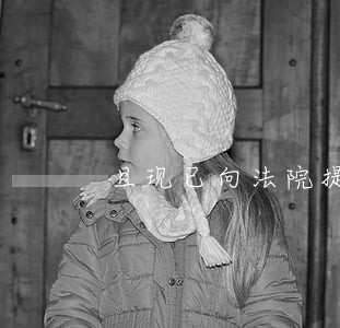 且现已向法院提起诉讼 且现已向法院提起诉讼