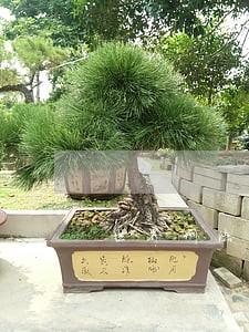 世界刑法判刑最高多少年 世界刑法判刑最高多少年