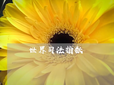 世界司法指数 世界司法指数