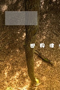 世界律师所薪酬排名 世界律师所薪酬排名