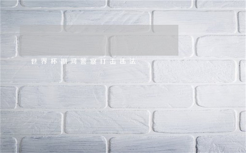 世界杯期间警察打击违法 世界杯期间警察打击违法