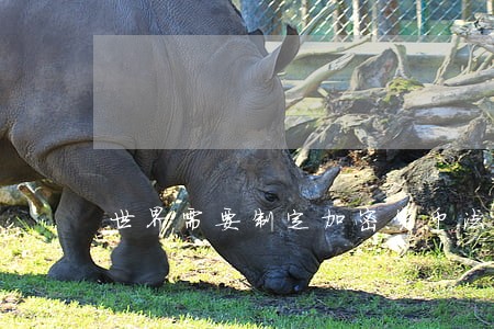 世界需要制定加密货币法规的标准 世界需要制定加密货币法规的标准