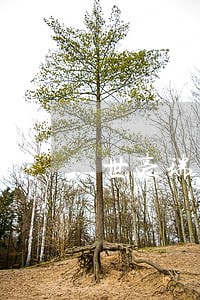 世豪瑞丽哪个法院拍卖 世豪瑞丽哪个法院拍卖