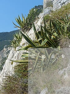 丘北县专业法定继承纠纷律师