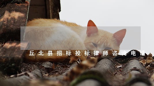 丘北县招标投标律师咨询电话 丘北县招标投标律师咨询电话