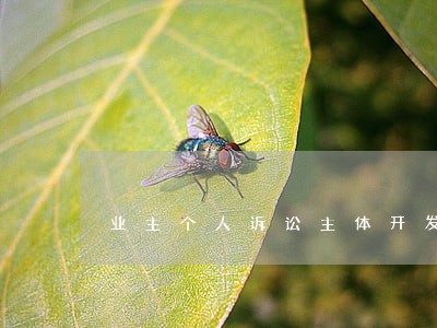 业主个人诉讼主体开发商 业主个人诉讼主体开发商