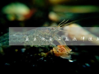 业主大会公益法律援助 业主大会公益法律援助