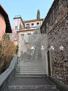业主大会决议不因诉讼而中止 业主大会决议不因诉讼而中止