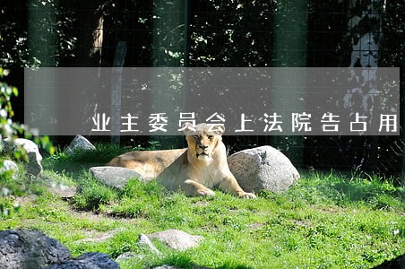 业主委员会上法院告占用公共区域