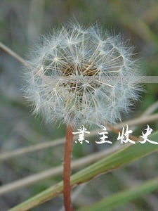 业主收史上最牛法院执行通知书 业主收史上最牛法院执行通知书