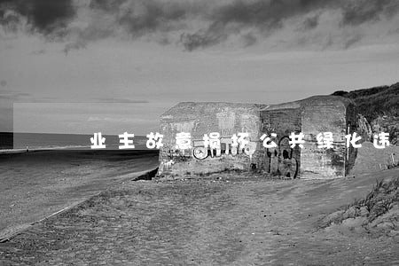 业主故意损坏公共绿化违法吗 业主故意损坏公共绿化违法吗
