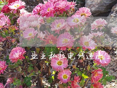业主私拉电线违法