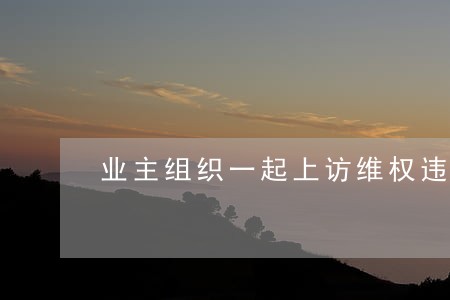 业主组织一起上访维权违法吗 业主组织一起上访维权违法吗