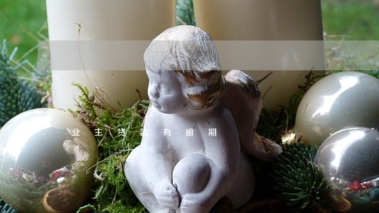 业主贷款有逾期