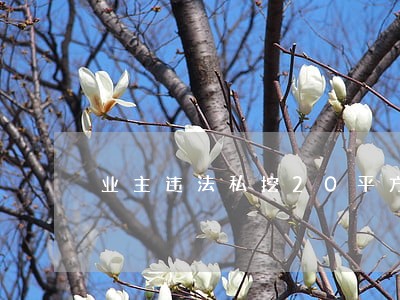 业主违法私挖20平方米地下室 业主违法私挖20平方米地下室