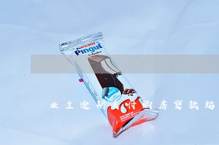 业主逾期支付购房贷款起诉状