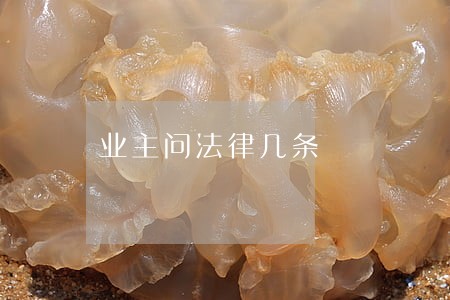 业主问法律几条 业主问法律几条