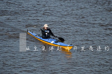 业主集体起诉开发商违约金 业主集体起诉开发商违约金