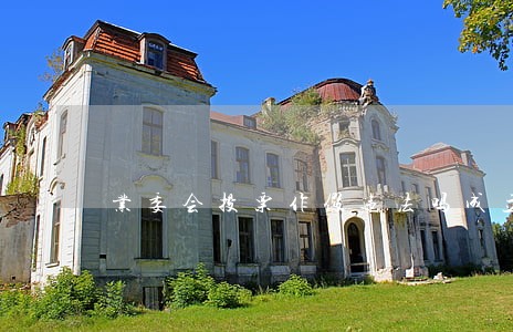 业委会投票作假违法吗成立