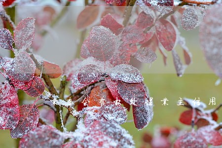 业委会有权处理业主信用卡逾期吗 业委会有权处理业主信用卡逾期吗