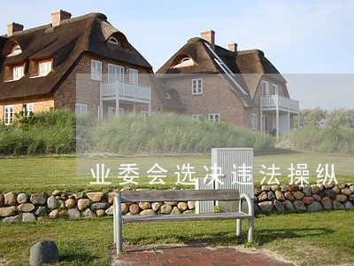 业委会选决违法操纵 业委会选决违法操纵