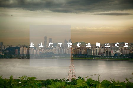 业生汽车贷款逾期还款怎么办 业生汽车贷款逾期还款怎么办
