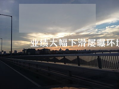 业绩大幅下滑屡曝环境违法 业绩大幅下滑屡曝环境违法