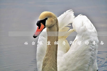 丛台区重组并购律师事务所 丛台区重组并购律师事务所