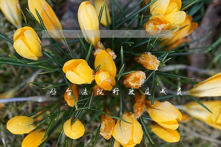 丛台法院行政庭成员 丛台法院行政庭成员